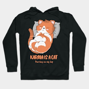 Karma is a cat Purring on my lap Hoodie